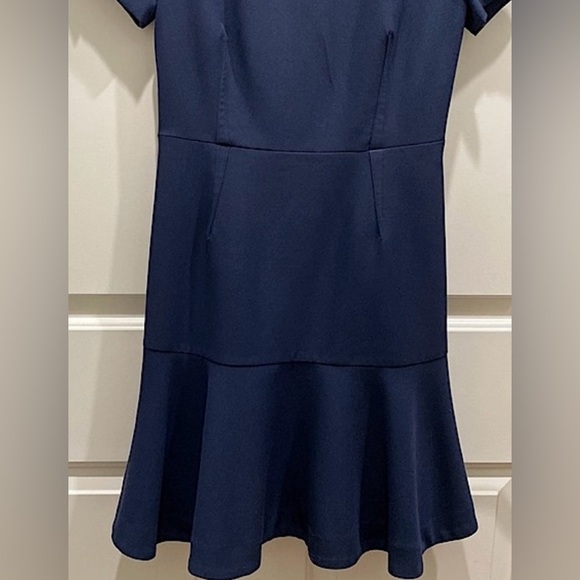 Banana Republic Petite Dark Navy Fit & Flare Short Sleeve Flounce Dress Size 0 - Picture 4 of 11